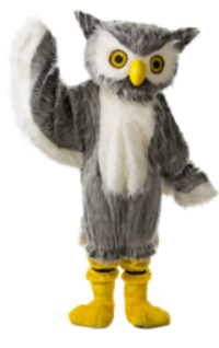 Picture of Hoot, the bank mascot.
