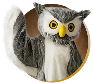 hoot-photo